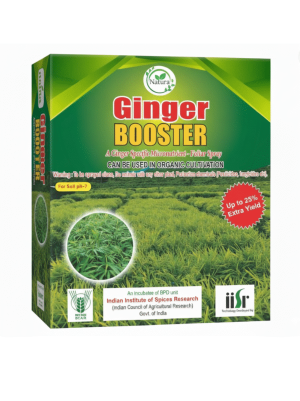 Natura Ginger Booster