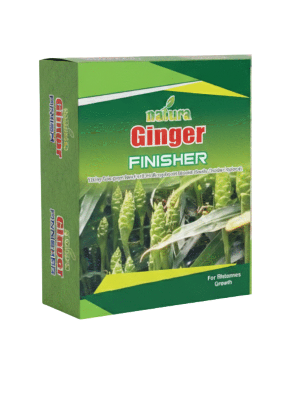 Natura Ginger Finisher