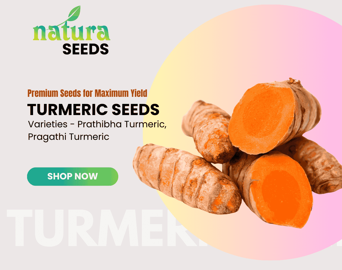 Natura Kart Product Slider Posts (2)