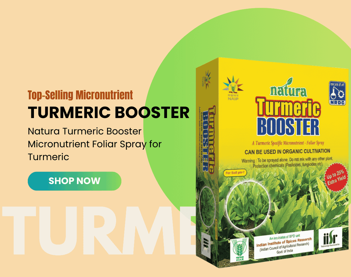 Natura Kart Product Slider Posts (3)