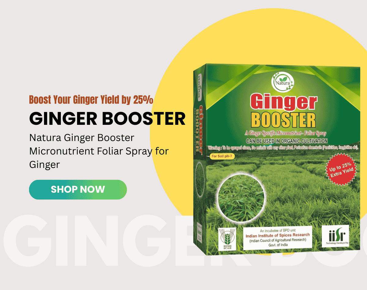 Natura Kart Product Slider Posts (4)