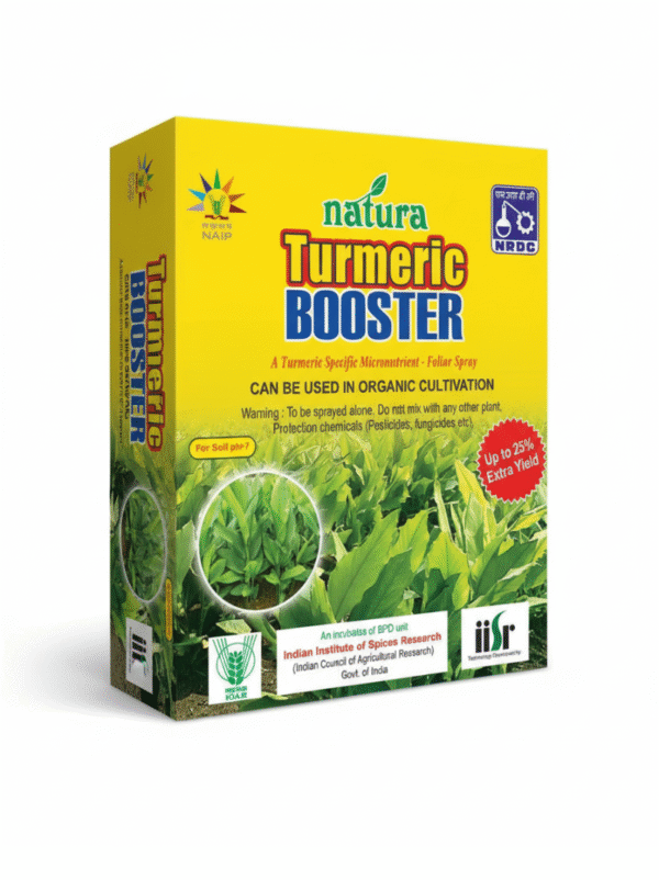 Natura Turmeric Booster